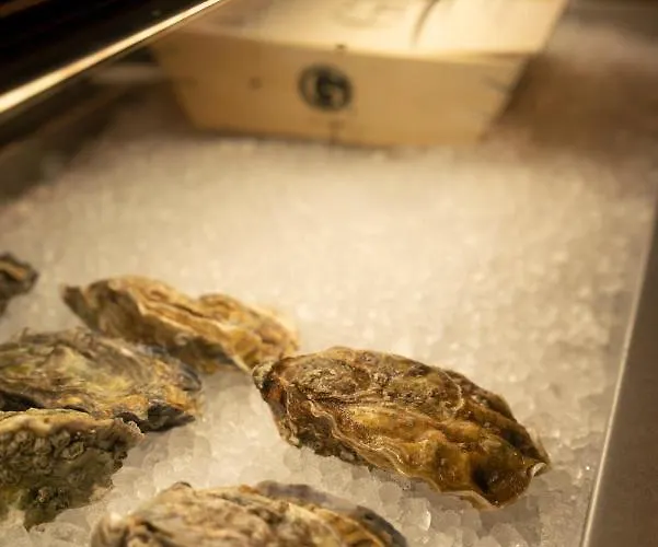 Bilder Boutique 호텔